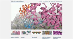 Desktop Screenshot of molecular-simulation.org